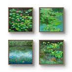 Amita Dand (XX) - Miniature water lilies pond