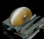Kattenoog opaal Cabochon - 2.5×1.5×1 cm - 10 g