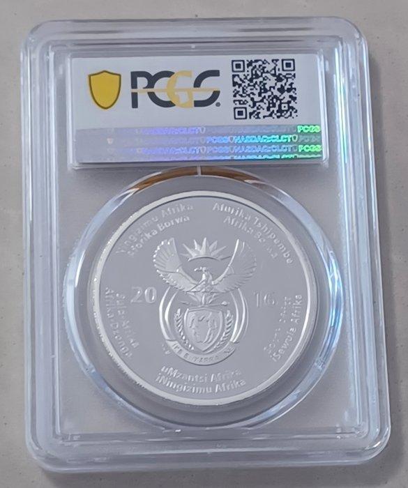 Zuid-Afrika. 2 Rand 2016 Cheetah PCGS PR69 DCAM, mintage, Postzegels en Munten, Munten | Europa | Niet-Euromunten