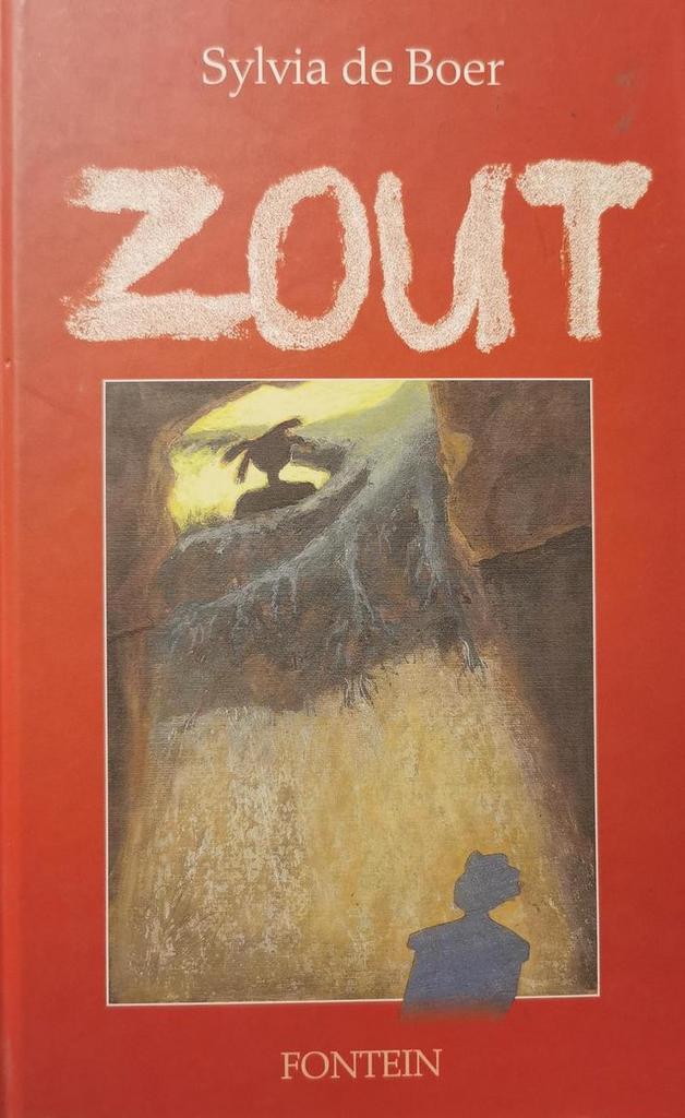 Zout 9789026115615 S. de Boer, Boeken, Kinderboeken | Jeugd | 13 jaar en ouder, Gelezen, Verzenden