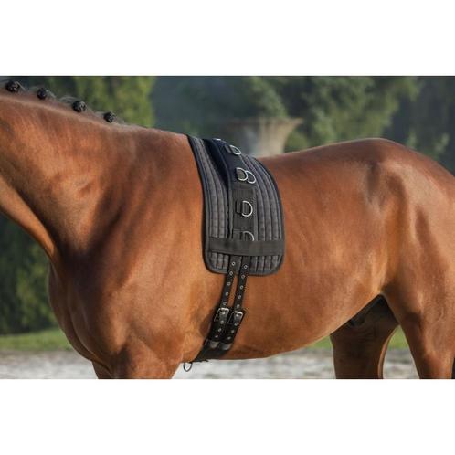 Longeerlijn longeersingel, breed, 9 ringen - met verstelbare, Dieren en Toebehoren, Paarden en Pony's | Overige Paardenspullen