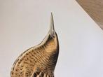 Von Wright brothers & Bror Halberg - Eurasian bittern, Nieuw