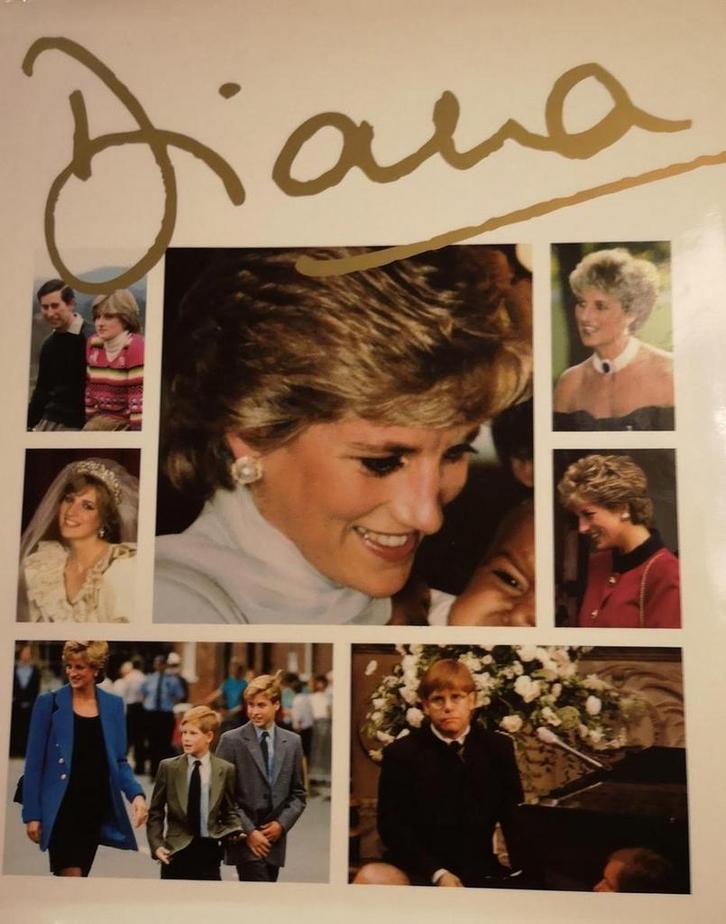 Diana, prinses van het volk 9879062489518 Peter Donnelly, Boeken, Literatuur, Gelezen, Verzenden