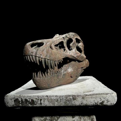 Geen minimumprijs - Een replica van een dinosaurus schedel -, Antiek en Kunst, Kunst | Designobjecten