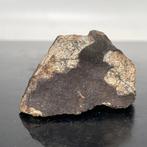 XXL VIÑALES-meteoriet, met Fusion-korst. Lichtoriëntatie,