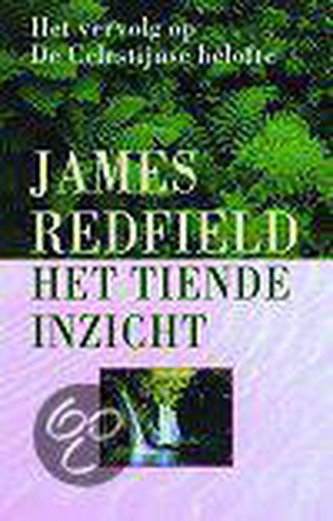 TIENDE INZICHT 9789022529409 James Redfield, Boeken, Romans, Gelezen, Verzenden