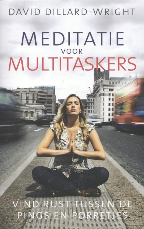 Meditatie voor multitaskers 9789045313467, Boeken, Esoterie en Spiritualiteit, Gelezen, Verzenden