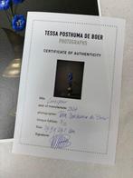 Tessa Posthuma de Boer (1968–) - Larkspur