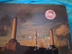 Pink Floyd - Animals - Album LP (article autonome) - Vinyle