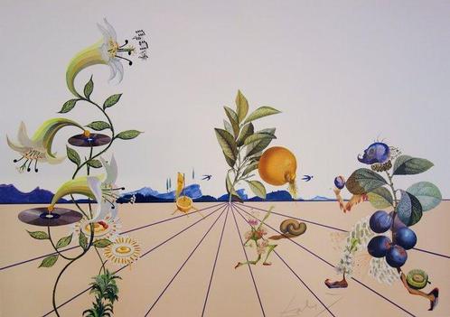 Salvador Dali (1904-1989) - Flordali I, Antiquités & Art, Antiquités | Autres Antiquités