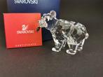 Swarovski - Beeld, Grizzly bear - 243880 - Box + Certificate, Antiek en Kunst