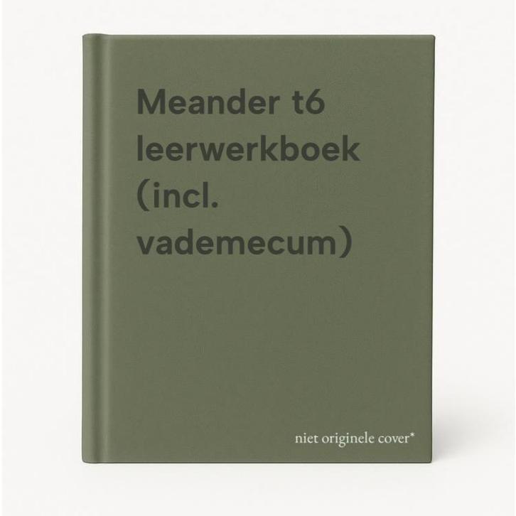 Meander t6 leerwerkboek (incl. vademecum) 9789028947313, Boeken, Schoolboeken, Gelezen, Verzenden