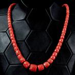 Echte rode koraal Corallium Rubrum - Rode Mediterrane