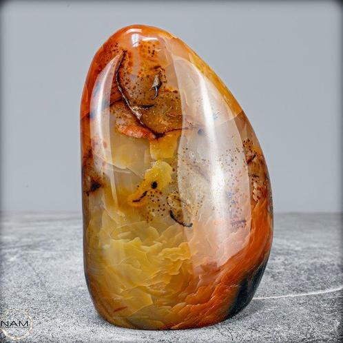 Corail naturel en forme brute en provenance de Madagascar de, Verzamelen, Mineralen en Fossielen
