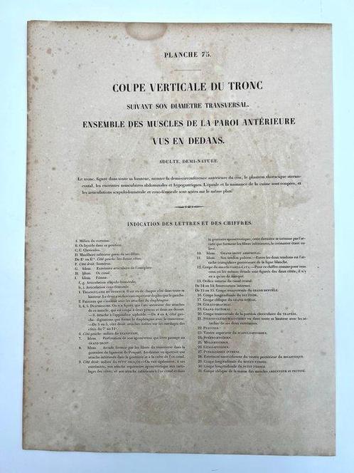 Lesmateriaal - Nicolas-Henri Jacob & Jean Baptiste Marc, Antiek en Kunst, Antiek | Wandborden en Tegels