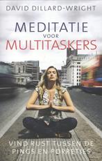 Meditatie voor multitaskers 9789045313467, Boeken, Verzenden, Zo goed als nieuw, David Dillard-Wright