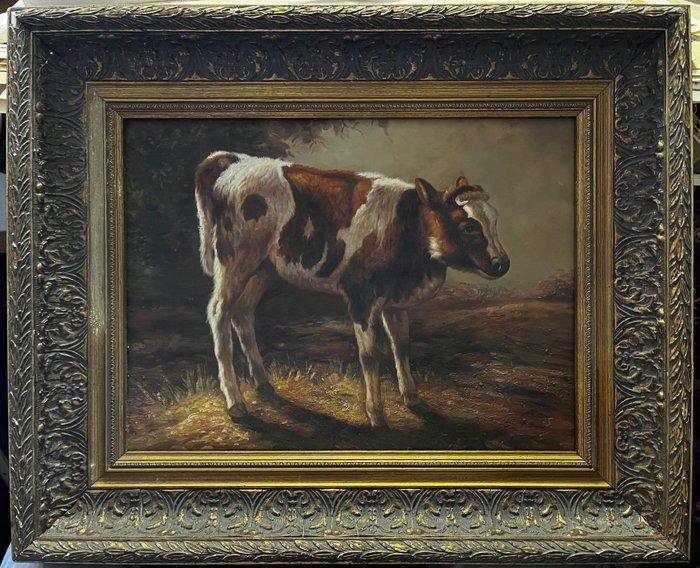 Belgische School (XX) Naar Henry Schouten - Jonge Stier, Antiek en Kunst, Kunst | Schilderijen | Klassiek