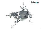 Kabelboom BMW R 850 R 1994-2001 (R850R 94) (2300513), Verzenden, Gebruikt