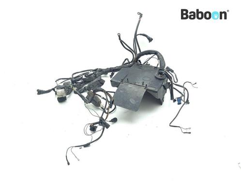 Kabelboom BMW R 850 R 1994-2001 (R850R 94) (2300513), Motoren, Onderdelen | BMW, Gebruikt, Verzenden