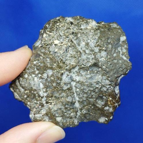 -Endcut- MÉTÉORITE EUCRITE - achondrite de VESTA - MONT, Verzamelen, Mineralen en Fossielen