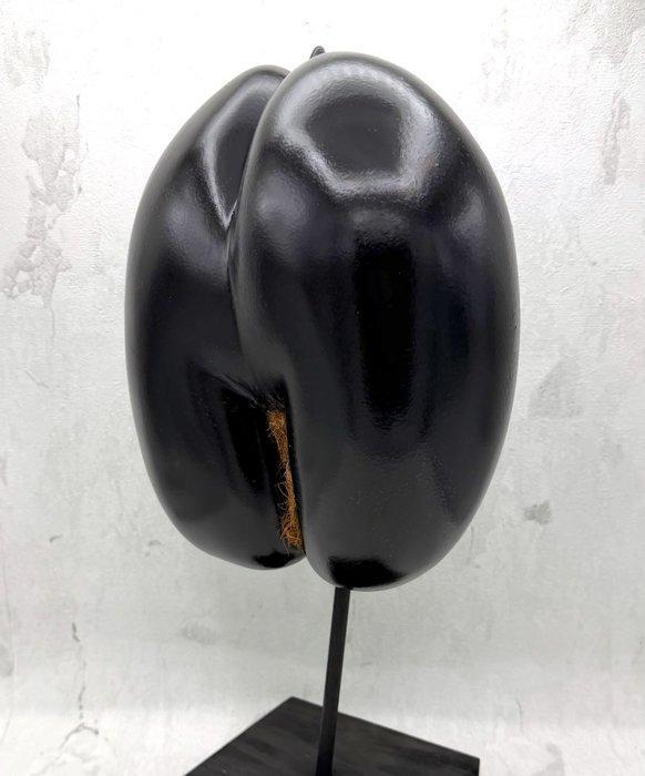 Coco de mer ou Coco fesse Support de corps entier pour, Verzamelen, Dierenverzamelingen