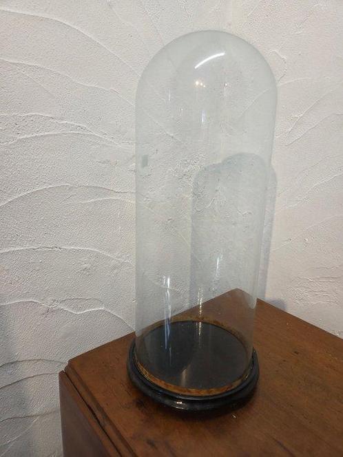 Globe - stolp - antiek - 1901-1920 - Grande antique cloche, Antiek en Kunst, Kunst | Niet-Westerse kunst