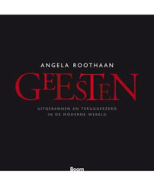 Geesten 9789461054128 Angela Roothaan, Boeken, Filosofie, Gelezen, Verzenden