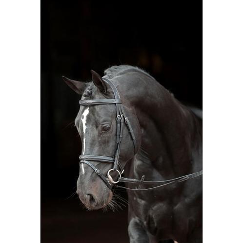 Trenshoofdstel classic leder, zwart, pony - kerbl, Dieren en Toebehoren, Overige Dieren-accessoires, Nieuw