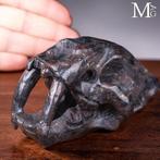 Crâne de tigre à dents de sabre en jaspe noir - Une icône