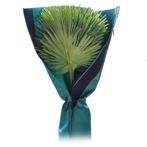 NIEUW - Beschermhoes palmboom 150 cm, Verzenden, Nieuw