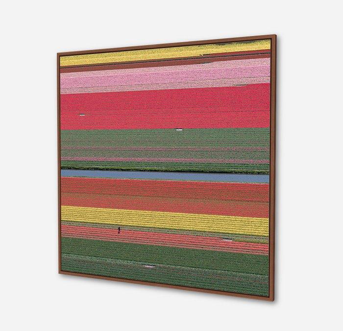Bernhard Lang - AV_Tulip_Fields_036, Antiek en Kunst, Kunst | Designobjecten