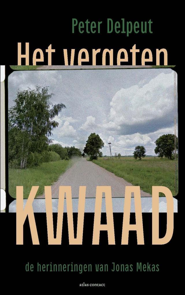 Het vergeten kwaad (9789045043494, Peter Delpeut), Antiek en Kunst, Antiek | Boeken en Manuscripten, Verzenden
