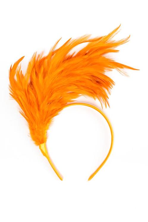 Haarband Veren Oranje Diadeem Veertjes Koningsdag Nederland, Kleding | Dames, Carnavalskleding en Feestkleding, Nieuw, Ophalen of Verzenden