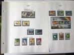 Nederlandse Antillen 1988/2008 - Verzameling met o.a. vele, Postzegels en Munten, Gestempeld