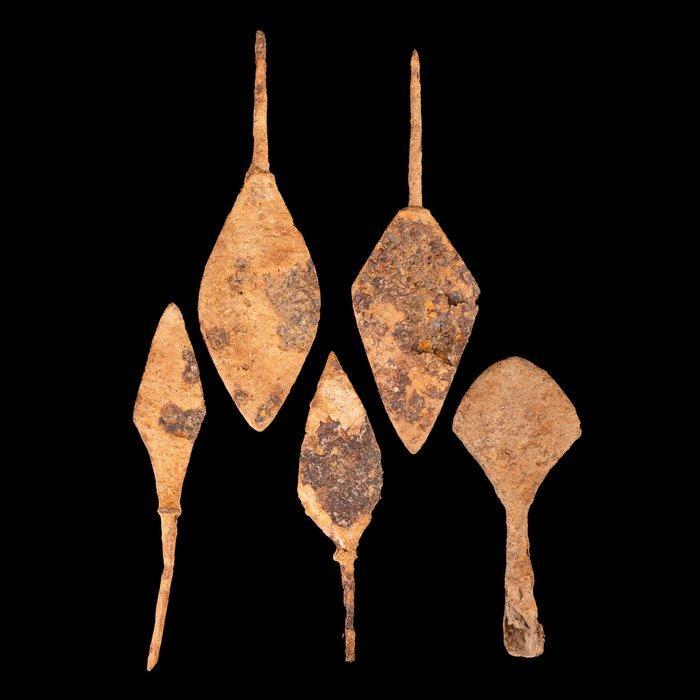 Viking IJzeren pijlpuntens (Set van Vijf) (Zonder, Antiek en Kunst, Antiek | Overige Antiek
