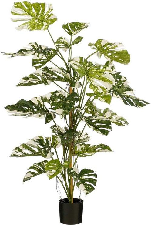 2eChoix | Mica Decorations Arbre Monstera Plante, Huis en Inrichting, Woonaccessoires | Overige, Ophalen of Verzenden