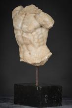 sculptuur, Torso del Laocoonte - 52 cm - Marmer