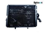 Radiateur Piaggio | Vespa Carnaby 300 IE Cruiser 2009-2013, Motoren, Verzenden, Nieuw