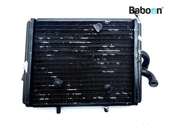 Radiateur Piaggio | Vespa Carnaby 300 IE Cruiser 2009-2013, Motoren, Onderdelen | Overige, Verzenden