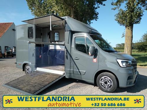 Nieuwe horsetruck Hengstenuitvoering, Animaux & Accessoires, Chevaux & Poneys | Semi-remorques & Remorques