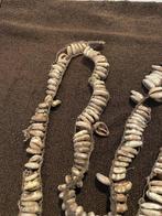 Geldstreng gemaakt van kauri-schelpen - Abelam -, Antiek en Kunst