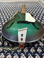 Egmond - Archtop - - Guitare acoustique - Pays-Bas - 1960, Nieuw