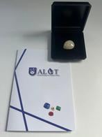 Opaal Cabochon - Hoogte: 7.72 mm - Breedte: 24.2 mm- 3.22 g