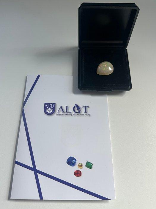 Opaal Cabochon - Hoogte: 7.72 mm - Breedte: 24.2 mm- 3.22 g, Verzamelen, Mineralen en Fossielen