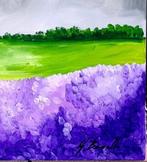 Giorgio Bergallo - PEZZI DI NATURA