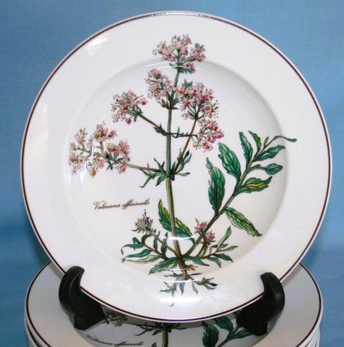 Villeroy & Boch - Ensemble de bols à soupe (6) - Botanica -, Antiek en Kunst, Antiek | Meubels | Tafels