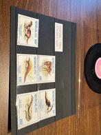 Afrika 1960/2004 - Uitzonderlijke verzameling internationale