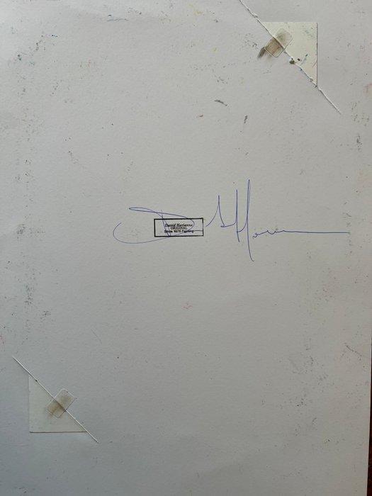 David Harianna (1978) - MARIO CARS, Games en Spelcomputers, Spelcomputers | Overige Accessoires