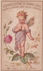 CHROMOS (5x) - RARE ! - LIEBIG - S52 LOracle des Fleurs -, Verzamelen, Gelopen