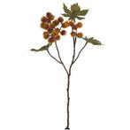 Ricinus castor oil spray dry colour orange 43 cm / st –, Huis en Inrichting, Nieuw